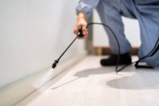 Licensed Rodent Control service in Wayne County County, NC - Nex Pest Control